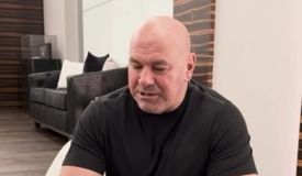 Гонорары в UFC: насколько они честные? Детальный анализ