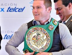 фото - Президент WBC: Альварес виновен разве что в том, что скушал «заражённое» мясо