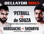 Bellator vs Rizin 2: результаты из Сайтамы