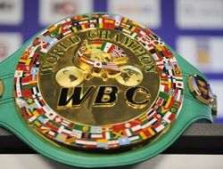 фото - WBC: победитель боя Гарсиа–Постол должен драться с Маттиссе