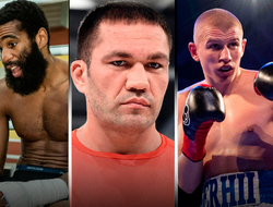 фото - Анонс главных боёв этой недели: Питерсон, Липинец, Пулев, Богачук и другие