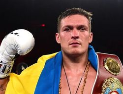 фото - WBO: Следующий бой Александра Усика не будет объединительным