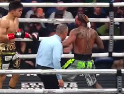 фото - Апсет! Ресендис удосрочил Хёрда в шикарном махаче — видео