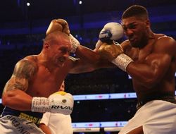 фото - Бой Усик-Джошуа 2 состоится, как и было запланировано — Хирн