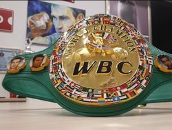 фото - WBC сокращает число раундов в титульных боях регионального уровня