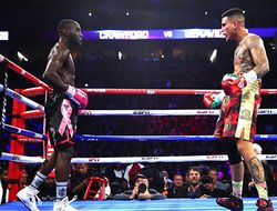 фото - Бой Кроуфорда и Бенавидеса собрал самый большой телерейтинг в США в 2018 году