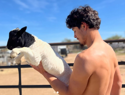 фото - Шоу Цзю-Фундора немного обмельчало, а Родригес отказался от пояса IBF