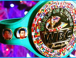 фото - В IBF вспомнили об элиминаторе, а в WBC отказались от «франчайзингового» титула