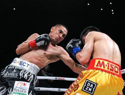 фото - Постановление WBC: Эстрада и Рунгвисаи порадуют болельщиков третьим махачем!