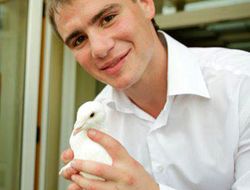 фото - Hatton Promotions организует реванш между Сергеем Рабченко и Виту