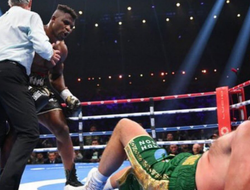 фото - Стало известно, сколько PPV-трансляций боя Фьюри-Нганну удалось реализовать 