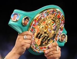 фото - WBC назначил бой Адониса Стивенсона и Тони Беллью