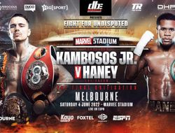 фото - Нокаутирует Девина и сразится с Ломаченко? Первые заявления Камбососа и Хэйни