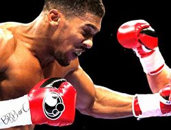 фото - Джошуа: Как только поймаю Мартина на удар – ему кранты