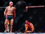 UFC 266: видео лучших моментов и бонусы турнира