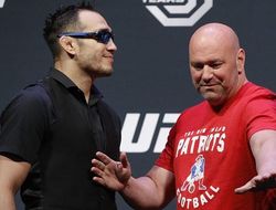 фото - Фергюсон не потеряет титул, Макгрегор вернётся в 2018-м — Дэйна Уайт