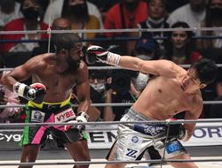 фото - Фьюри выступит на разогреве у Мейвезера, Эндрэд передумал драться с Паркером 