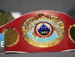Бой Чарло-Цзю. В WBO выписали чемпиону «последнее китайское предупреждение»