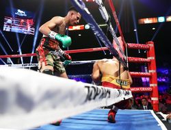 фото - Дадашев, Стивенсон и Бенавидес досрочно побеждают в Лас-Вегасе