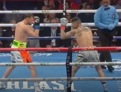 фото - Барбоса спорно прошёл Маккомба