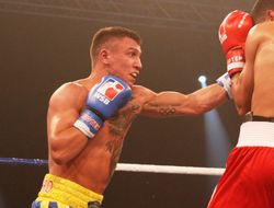 фото - СМИ: Всемирная серия бокса прекратит существование