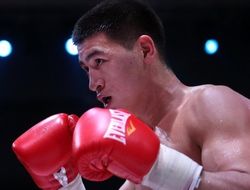 фото - Дмитрий Бивол уже начал подготовку к следующему бою — промоутер