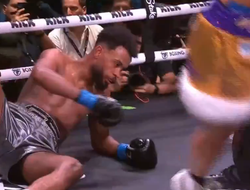 фото - Сын легендарного «Паука» Силвы влетел досрочно в поп-бокс-шоу: видео