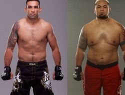 фото - UFC 180: «Обратный отсчёт» к боям Вердум–Хант и Гастелум–Элленбергер