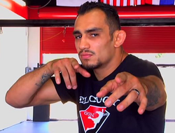 фото - Фергюсон забыл о Нурмагомедове — переключился на Нэйта Диаса