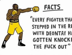 фото - Уайлдер–младший идёт по стопам отца: оцените пудовые удары по «груше» — видео