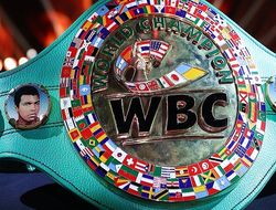фото - WBC установил новый дедлайн для Фьюри и Уайта