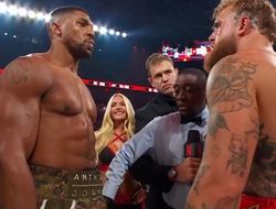 фото - Джошуа нокаутировал Пола: видео