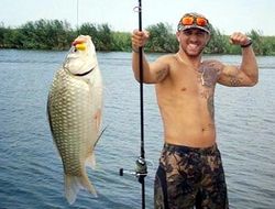 фото - Стало известно, с кем сразится победитель боя Ломаченко–Уолтерс