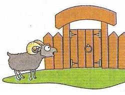 фото - АИБА и бараньи ворота