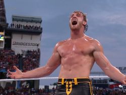 фото - Логан Пол нашёл своё призвание. Посмотрите, что он творит в ринге — видео