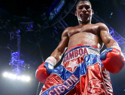 фото - Гамбоа нокаутирует Кроуфорда, считает Эрисланди Лара