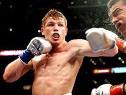 фото - Сауль Альварес хочет отомстить за брата