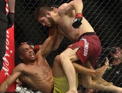 фото - Шлеменко, Харитонов, Волков и другие — о победе Нурмагомедова над Барбосой