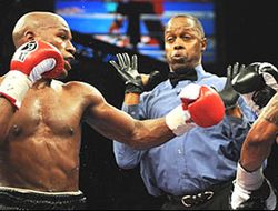 фото - Названы рефери и судьи грандиозного вечера бокса 14 сентября