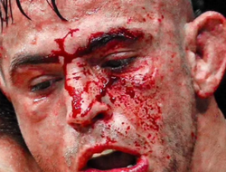 фото - Порье рассказал о несостоявшемся бое с Махачевым