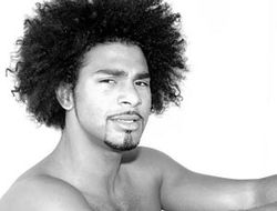 фото - Дэвид Хэй сравнил себя со львом, а Владимира Кличко - с гиеной