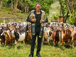 фото - Нуньеш с четвероногой армией, прооперированный Хэйни, Фьюри показал что ждёт Уайлдера — соцсети 