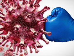 фото - Ковид не отступает: сорваны главные бои в шоу Хирна и Хэймона