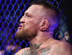 фото - Видео. Конор Макгрегор набирает форму и отрабатывает удары