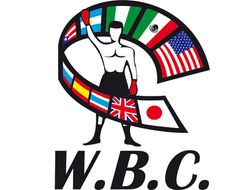 фото - WBC официально назначил бой Ковалёва и Стивенсона
