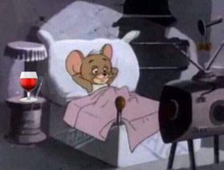 фото - Больше миллиона телезрителей в США смотрели бой между Александером и Берто