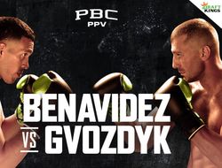 фото - Прямая трансляция: Давид Бенавидес – Александр Гвоздик. Смотреть онлайн