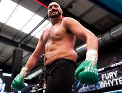 фото - С Фьюри подерусь я — чемпион мира из Австралии