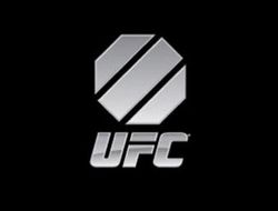 фото - UFC: первое шоу в России планируется на 2016 год