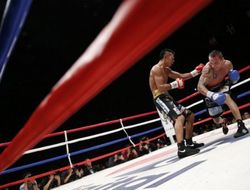 фото - Самураи Новый год не отмечают